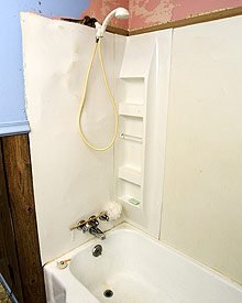 Old Tub and Shower in Tricities